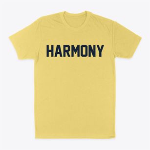 Harmony New York Classic Block Classic Dad T-Shirt