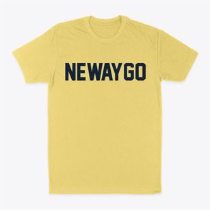 Newaygo Michigan Classic Block Classic Dad T-Shirt