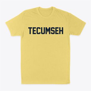 Tecumseh Nebraska Classic Block Classic Dad T-Shirt