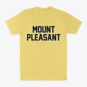 Mount Pleasant Wisconsin Classic Block Classic Dad T-Shirt
