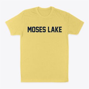 Moses Lake Washington Classic Block Classic Dad T-Shirt