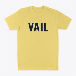 Vail Iowa Classic Block Classic Dad T-Shirt