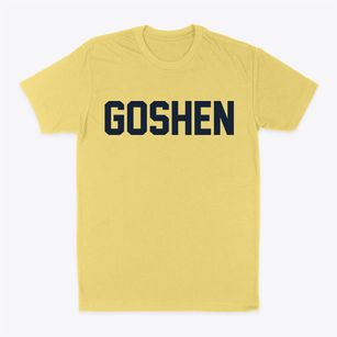 Goshen New York Classic Block Classic Dad T-Shirt
