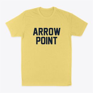 Arrow Point Missouri Classic Block Classic Dad T-Shirt