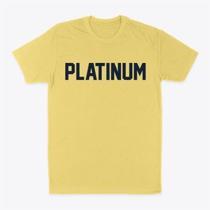 Platinum Alaska Classic Block Classic Dad T-Shirt