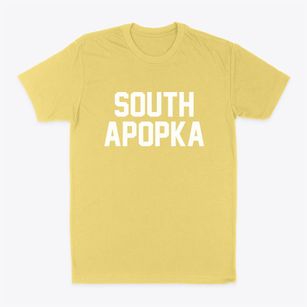 South Apopka Florida Classic Block Classic Dad T-Shirt