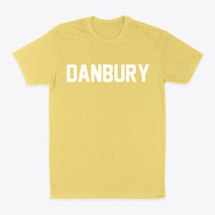 Danbury Iowa Classic Block Classic Dad T-Shirt