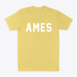 Ames Iowa Classic Block Classic Dad T-Shirt