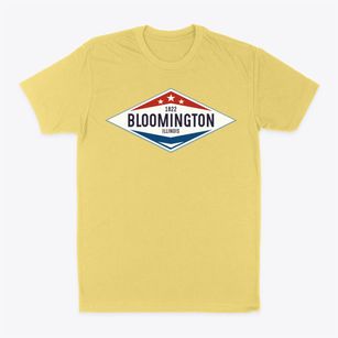 Bloomington Illinois Diamond Star Classic Dad T-Shirt