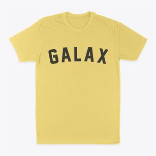 Galax Virginia Classic Curve Classic Dad T-Shirt