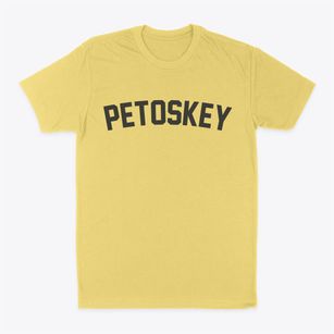Petoskey Michigan Classic Curve Classic Dad T-Shirt