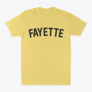 Fayette New York Classic Curve Classic Dad T-Shirt