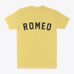 Romeo Michigan Classic Curve Classic Dad T-Shirt