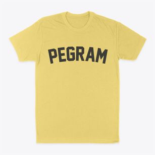 Pegram Tennessee Classic Curve Classic Dad T-Shirt