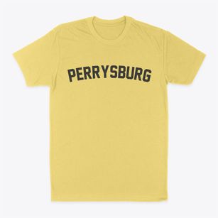 Perrysburg New York Classic Curve Classic Dad T-Shirt