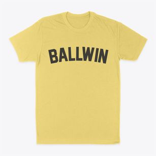 Ballwin Missouri Classic Curve Classic Dad T-Shirt