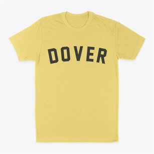 Dover Arkansas Classic Curve Classic Dad T-Shirt