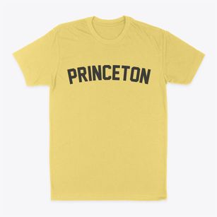 Princeton Missouri Classic Curve Classic Dad T-Shirt