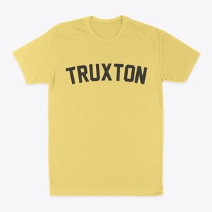 Truxton New York Classic Curve Classic Dad T-Shirt