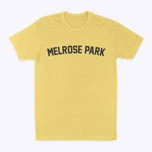 Melrose Park Illinois Classic Curve Classic Dad T-Shirt