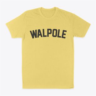 Walpole Massachusetts Classic Curve Classic Dad T-Shirt