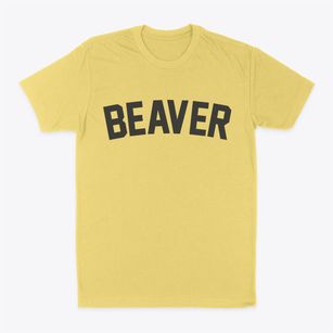 Beaver West Virginia Classic Curve Classic Dad T-Shirt