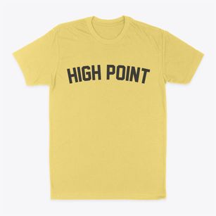 High Point North Carolina Classic Curve Classic Dad T-Shirt