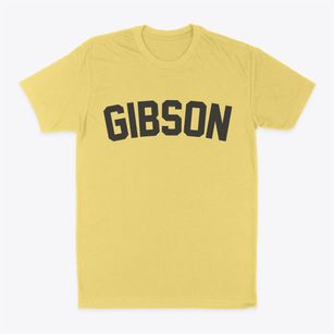 Gibson Georgia Classic Curve Classic Dad T-Shirt