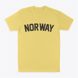 Norway Iowa Classic Curve Classic Dad T-Shirt