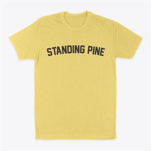 Standing Pine Mississippi Classic Curve Classic Dad T-Shirt