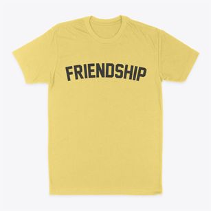 Friendship Arkansas Classic Curve Classic Dad T-Shirt
