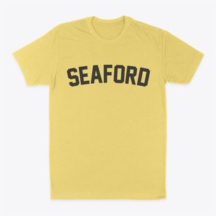 Seaford Delaware Classic Curve Classic Dad T-Shirt