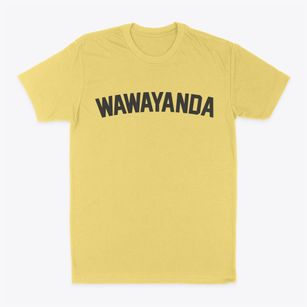 Wawayanda New York Classic Curve Classic Dad T-Shirt