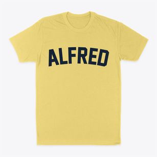 Alfred New York Classic Curve Classic Dad T-Shirt