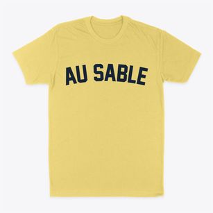 Au Sable New York Classic Curve Classic Dad T-Shirt