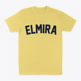 Elmira New York Classic Curve Classic Dad T-Shirt