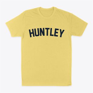 Huntley Illinois Classic Curve Classic Dad T-Shirt