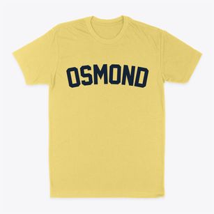 Osmond Nebraska Classic Curve Classic Dad T-Shirt