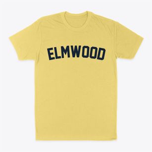 Elmwood Nebraska Classic Curve Classic Dad T-Shirt