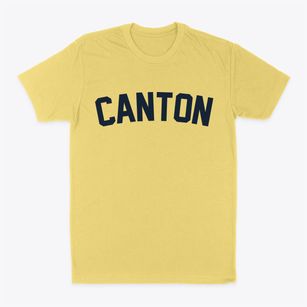 Canton Minnesota Classic Curve Classic Dad T-Shirt