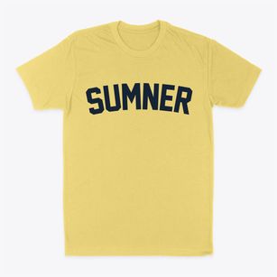 Sumner Mississippi Classic Curve Classic Dad T-Shirt