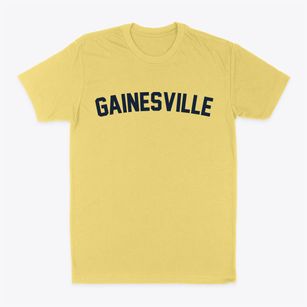 Gainesville Texas Classic Curve Classic Dad T-Shirt
