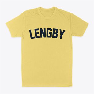 Lengby Minnesota Classic Curve Classic Dad T-Shirt