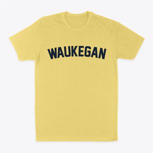 Waukegan Illinois Classic Curve Classic Dad T-Shirt