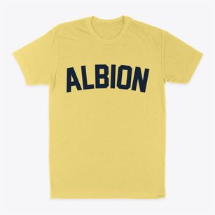 Albion New York Classic Curve Classic Dad T-Shirt