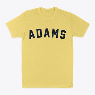 Adams Massachusetts Classic Curve Classic Dad T-Shirt