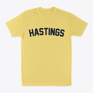 Hastings Michigan Classic Curve Classic Dad T-Shirt