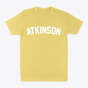 Atkinson Illinois Classic Curve Classic Dad T-Shirt