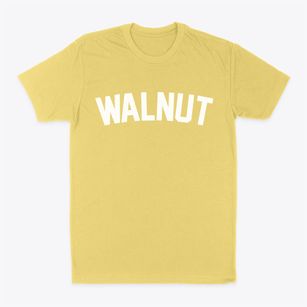 Walnut Iowa Classic Curve Classic Dad T-Shirt