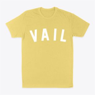 Vail Iowa Classic Curve Classic Dad T-Shirt